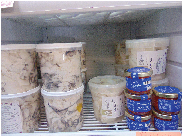 Frozen